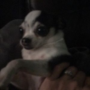 Meet your Posher, Kristine